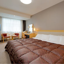 画像をギャラリービューアに読み込む, 秀峰館洋室